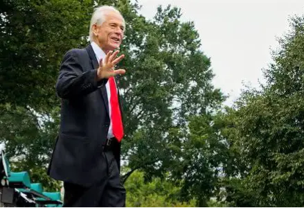 Peter Navarro photo