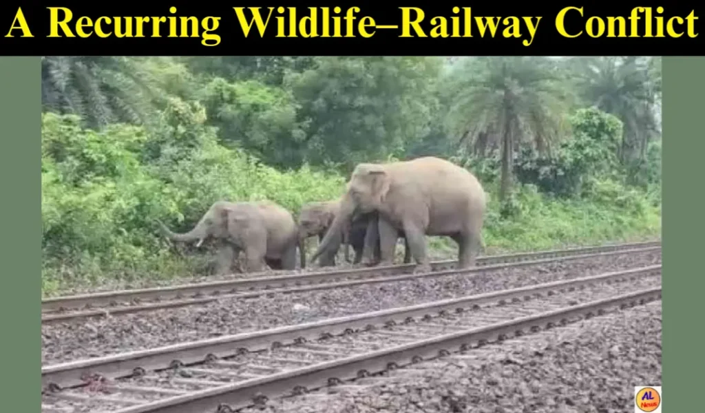 Elephant Railway Conflict