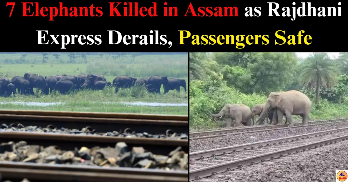 7 Elephant Killed in Assam