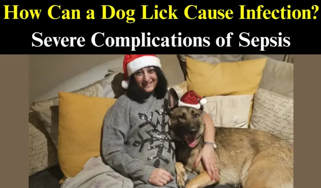 Dog Lick Cause Infection Sepsis